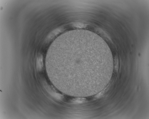 X0000085310128200703231933