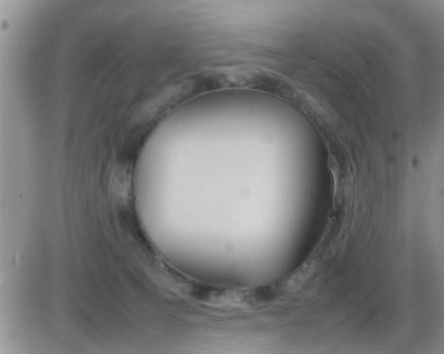 X0000085310129200703231933