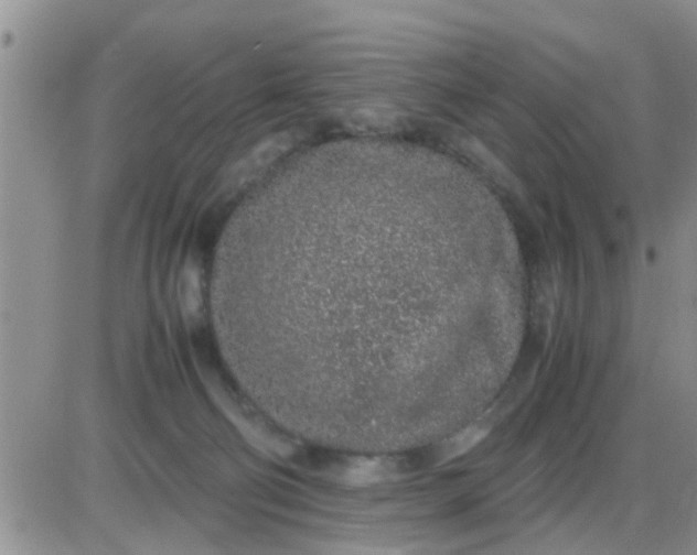 X0000085310130200703231933