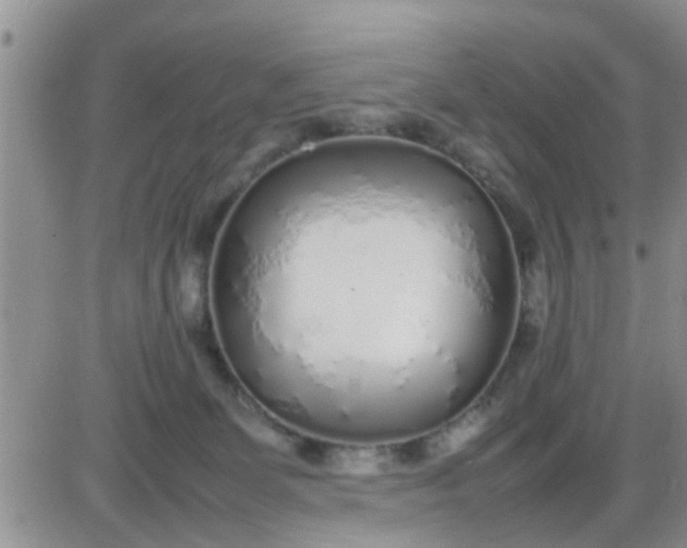 X0000085310131200703231933