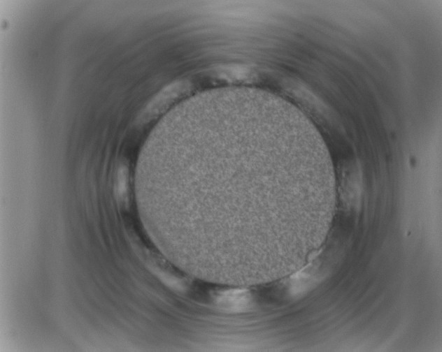 X0000085310132200703231933