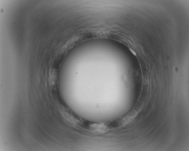 X0000085310133200703231933