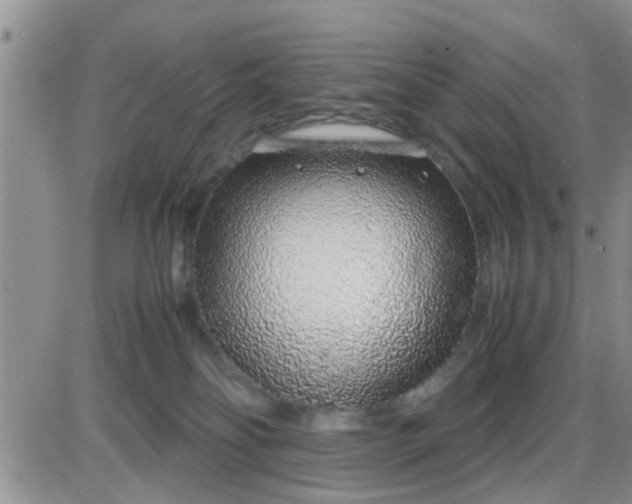 X0000085310134200703231933