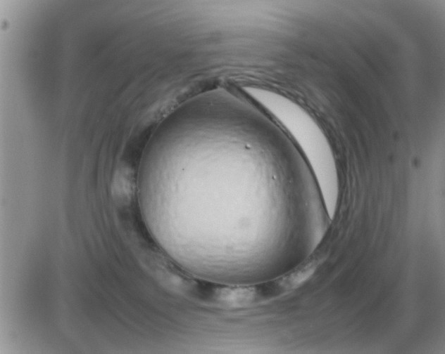 X0000085310135200703231933