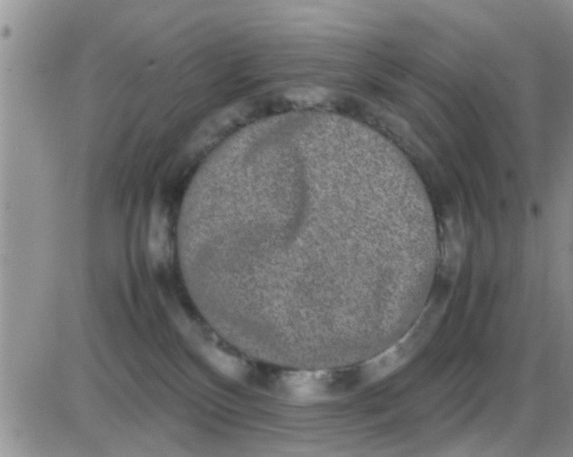 X0000085310136200703231933