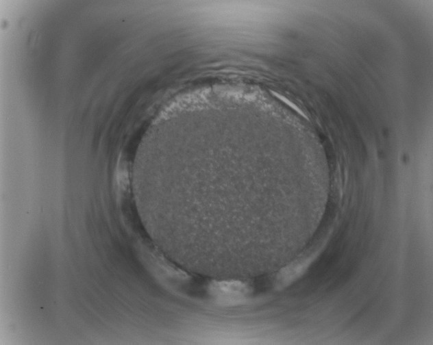 X0000085310137200703231933