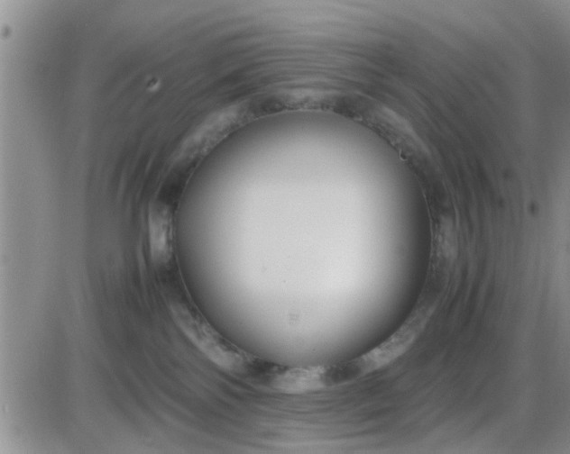 X0000085310138200703231933