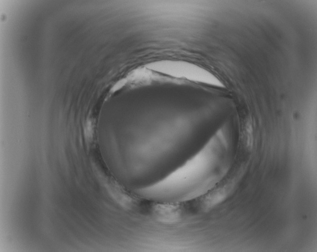 X0000085310139200703231933