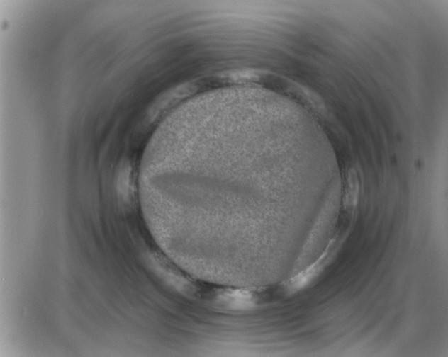 X0000085310140200703231933