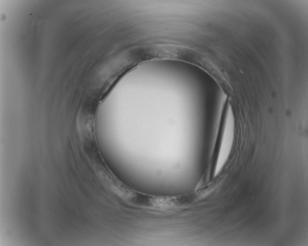 X0000085310141200703231933