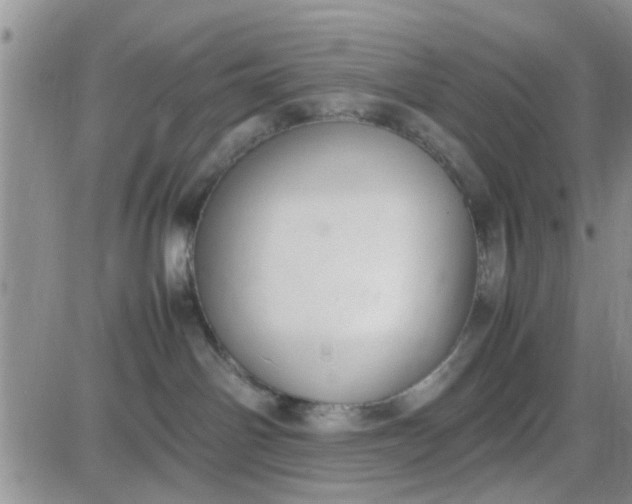 X0000085310142200703231933