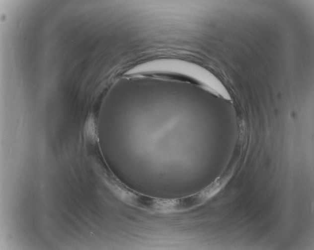 X0000085310143200703231933