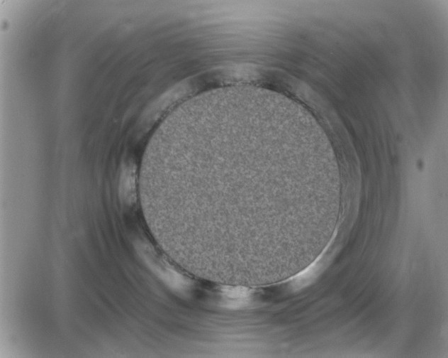 X0000085310144200703231933