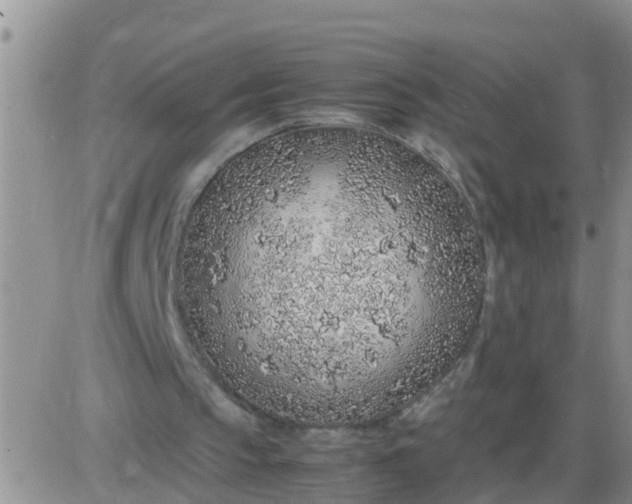 X0000085310145200703231932