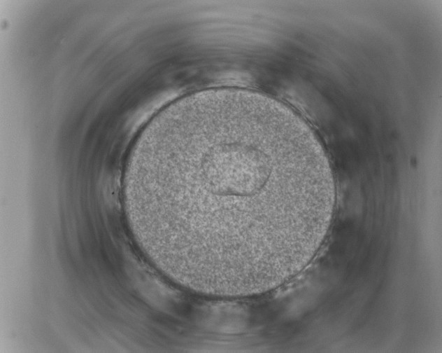 X0000085310146200703231932