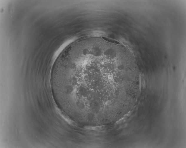 X0000085310147200703231932