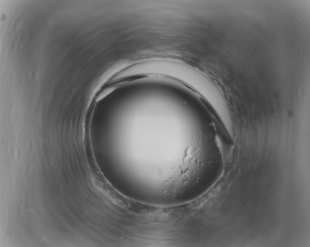 X0000085310148200703231932