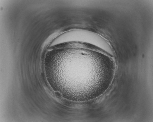 X0000085310149200703231932