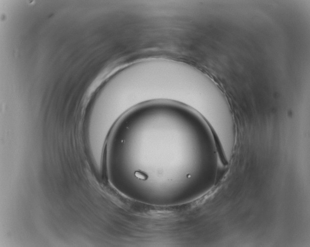 X0000085310150200703231932