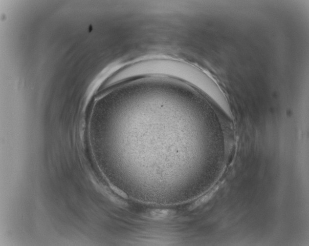 X0000085310152200703231932