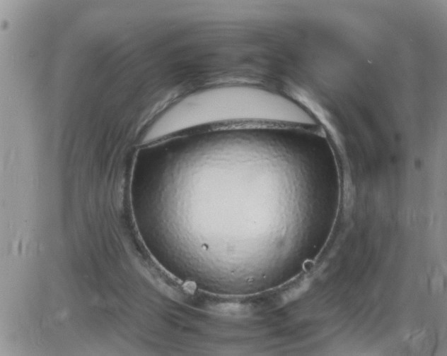 X0000085310153200703231932