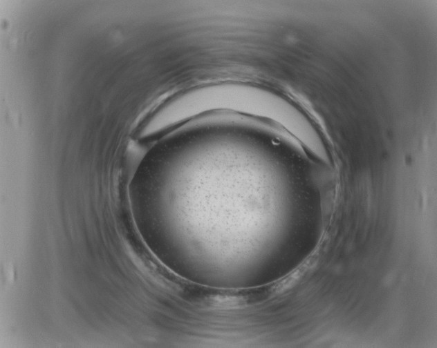 X0000085310154200703231932