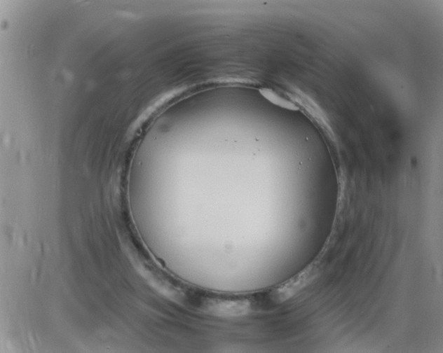 X0000085310155200703231932