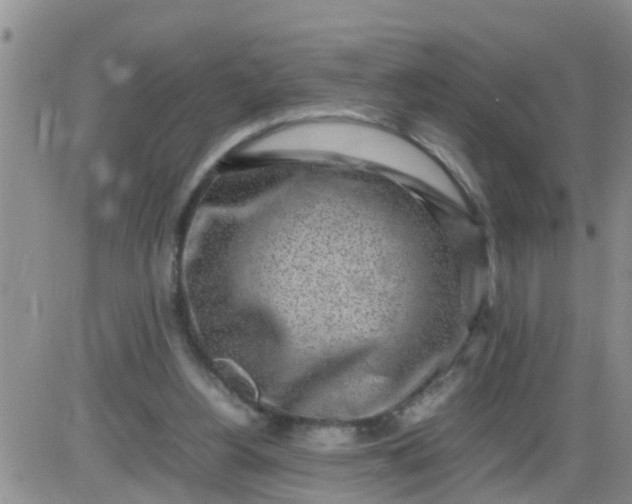 X0000085310156200703231933