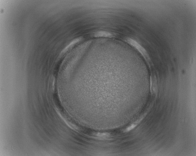 X0000085310157200703231933