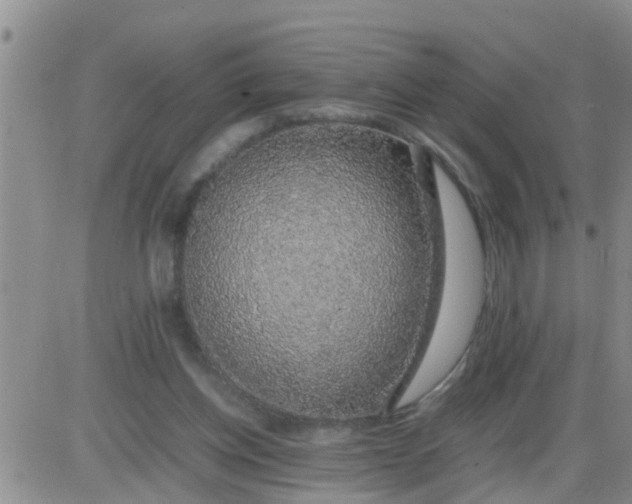 X0000085310158200703231933