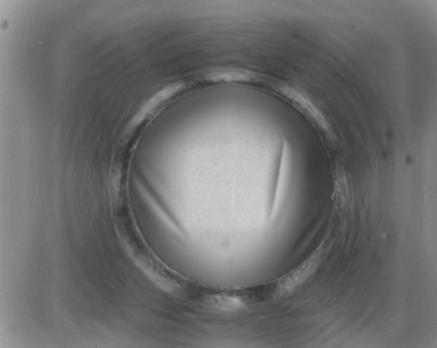 X0000085310159200703231933