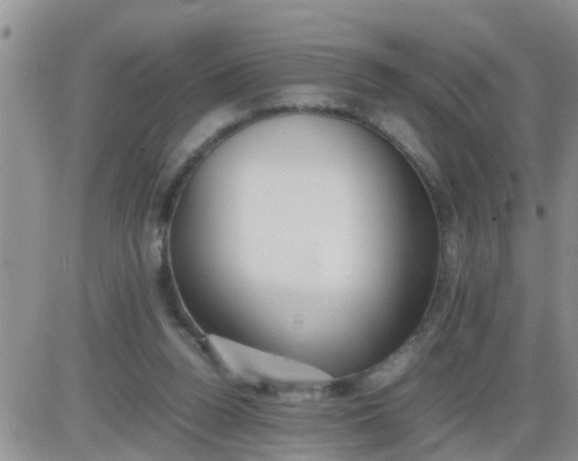 X0000085310160200703231933