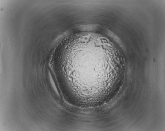 X0000085310161200703231933