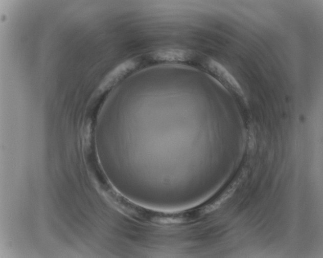 X0000085310163200703231933