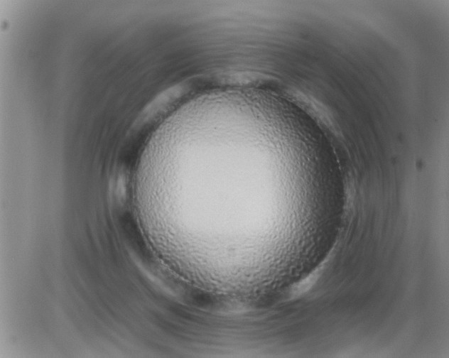 X0000085310166200703231933