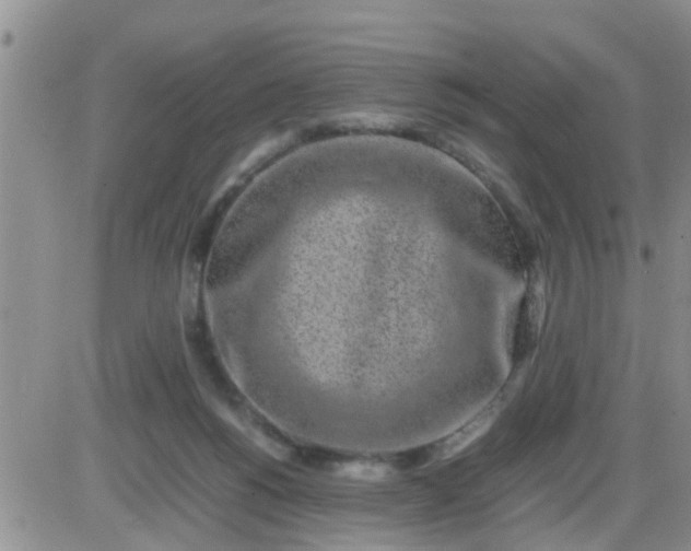 X0000085310168200703231933