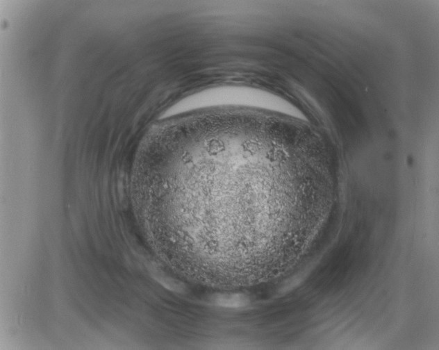 X0000085310169200703231933