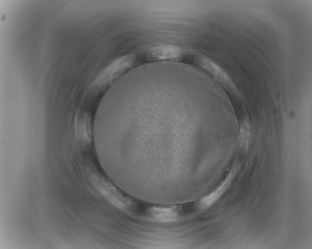 X0000085310170200703231933