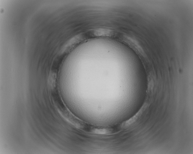 X0000085310171200703231933