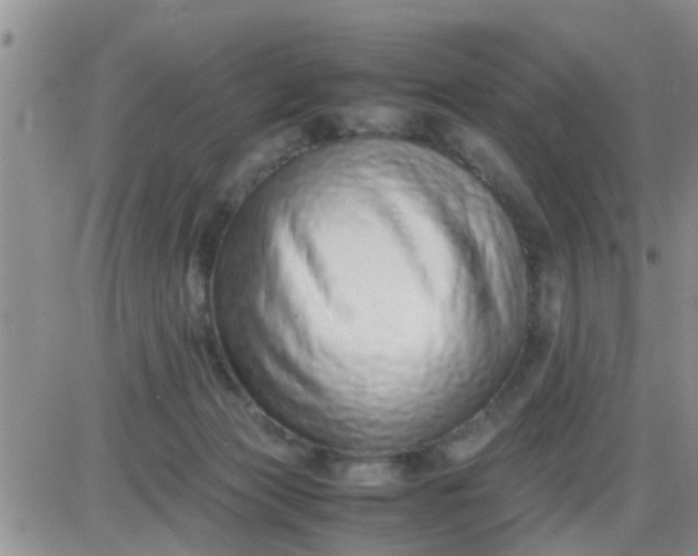 X0000085310173200703231933