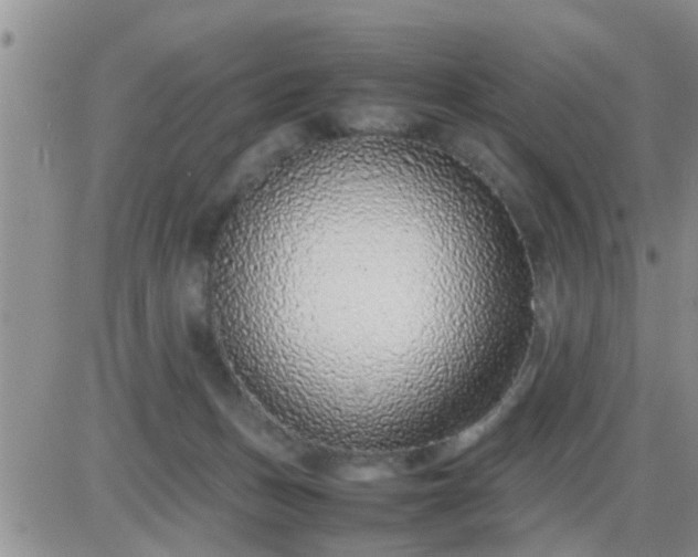 X0000085310175200703231933