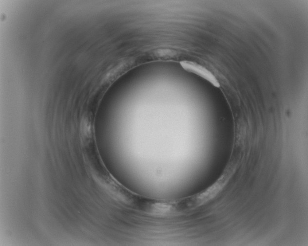 X0000085310176200703231933