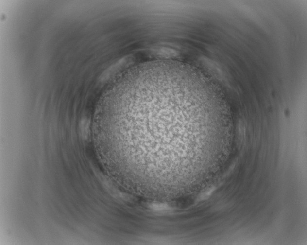 X0000085310177200703231933