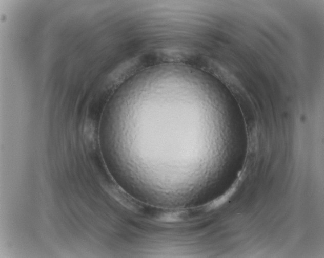 X0000085310178200703231933