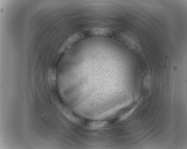 X0000085310179200703231933