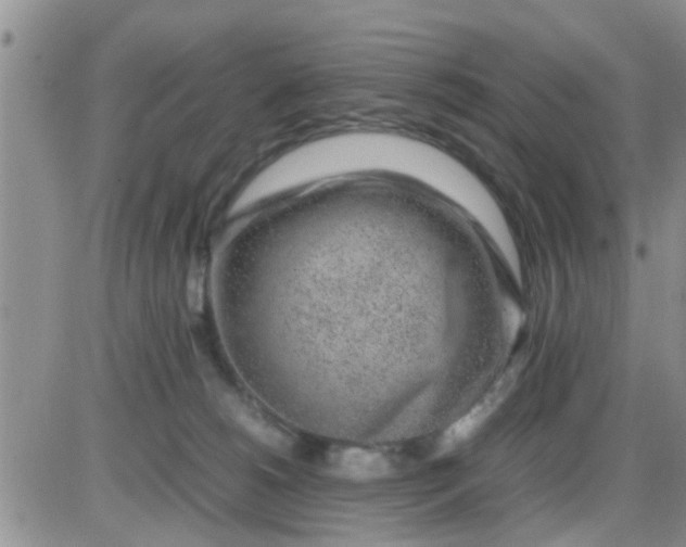 X0000085310180200703231933