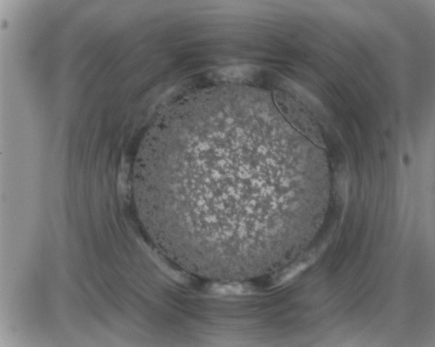 X0000085310181200703231933