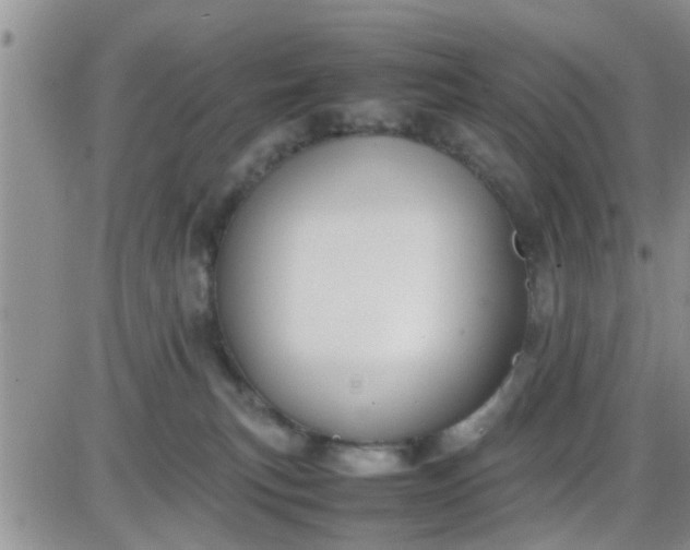 X0000085310183200703231933