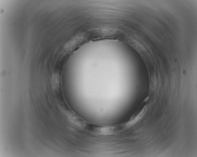 X0000085310184200703231933