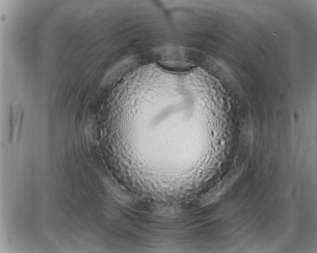 X0000085310185200703231933